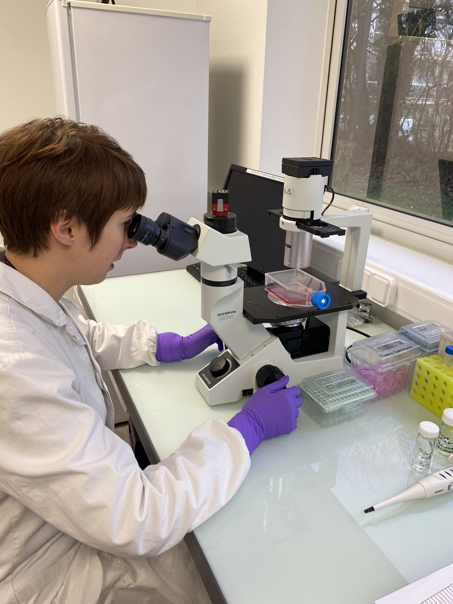 Technicien de laboratoire réalisant des analyses microbiologiques.