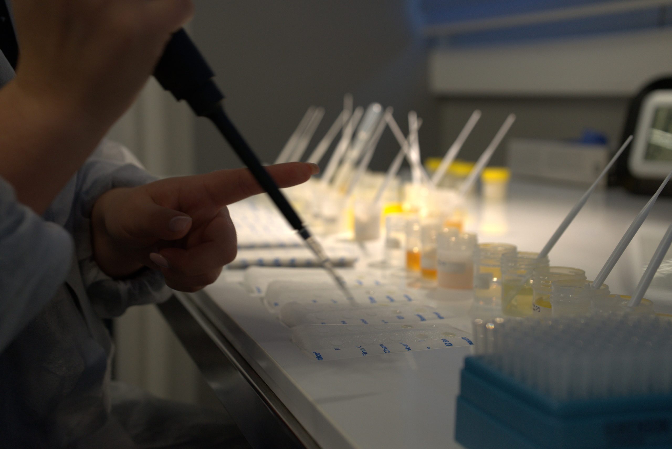 Personne utilisant une micropipette pour transférer un liquide dans des tubes de prélèvement dans un laboratoire.