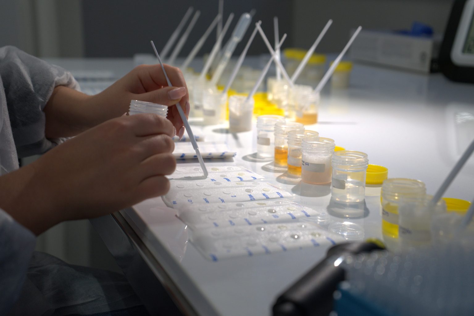 Personne utilisant une micropipette pour transférer un liquide dans des tubes de prélèvement dans un laboratoire.